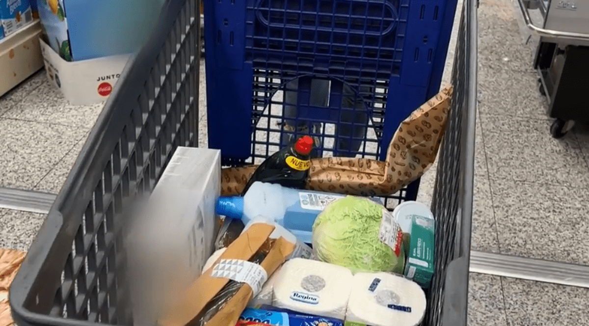 Carrefour Spania îngheață prețurile pentru 30 de produse de bază. Hârtie igienică și suc - da, lapte și ouă - nu!