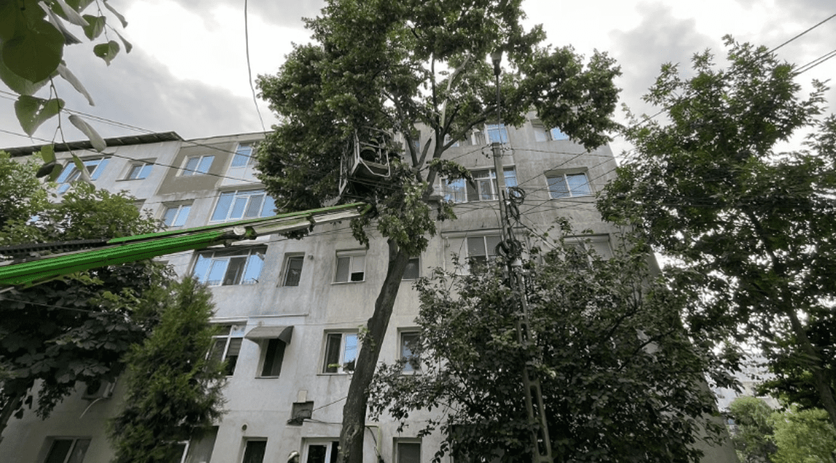 Copaci căzuți și mașini avariate din cauza vântului puternic, în București, Ilfov și Constanța