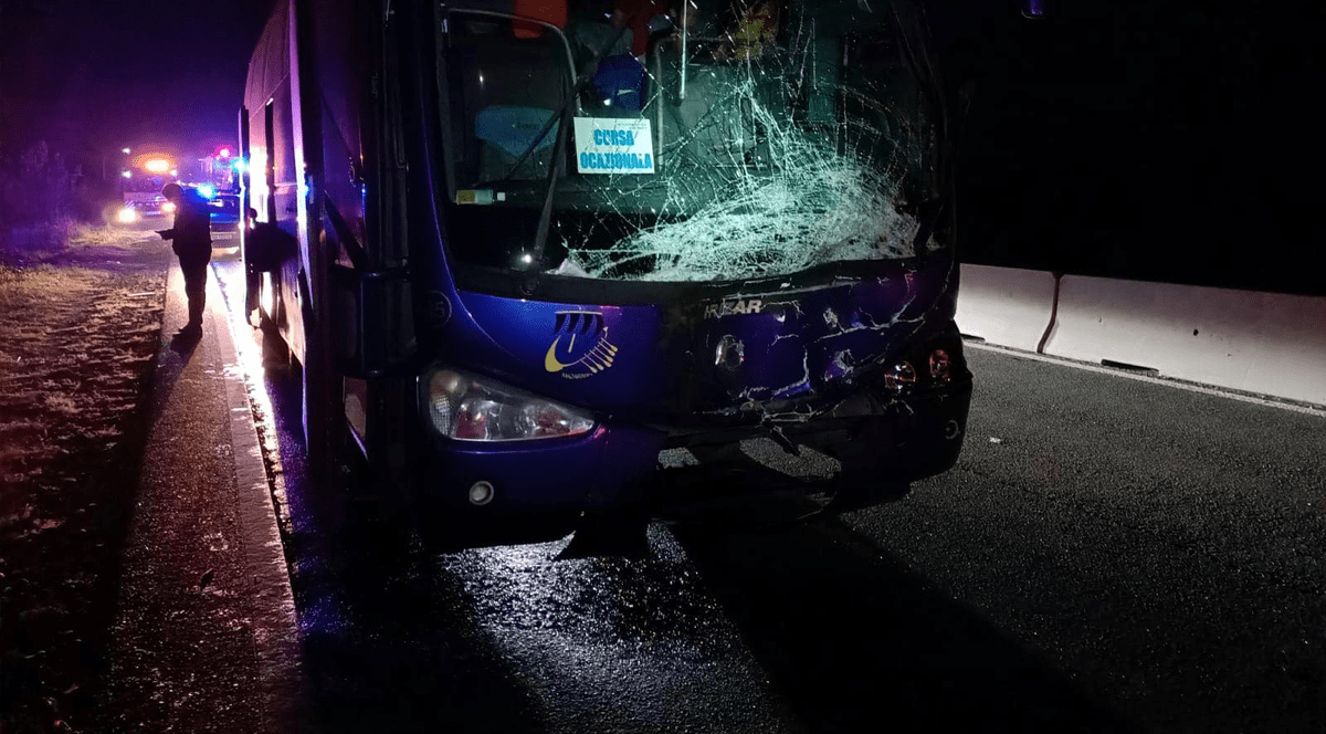 Taur lovit de un autocar plin cu turiști, pe DN1, la Potigrafu. Traficul spre București este întrerupt