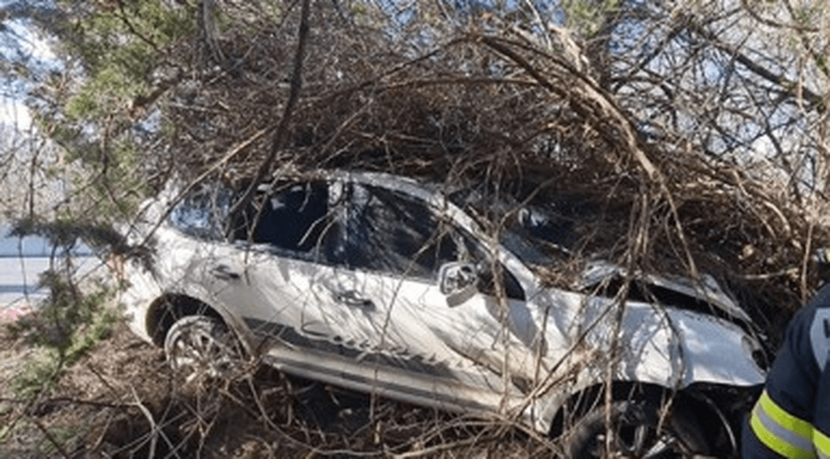 Primarul unei comune constănțene a murit după ce a intrat cu maşina într-un copac, la Neptun