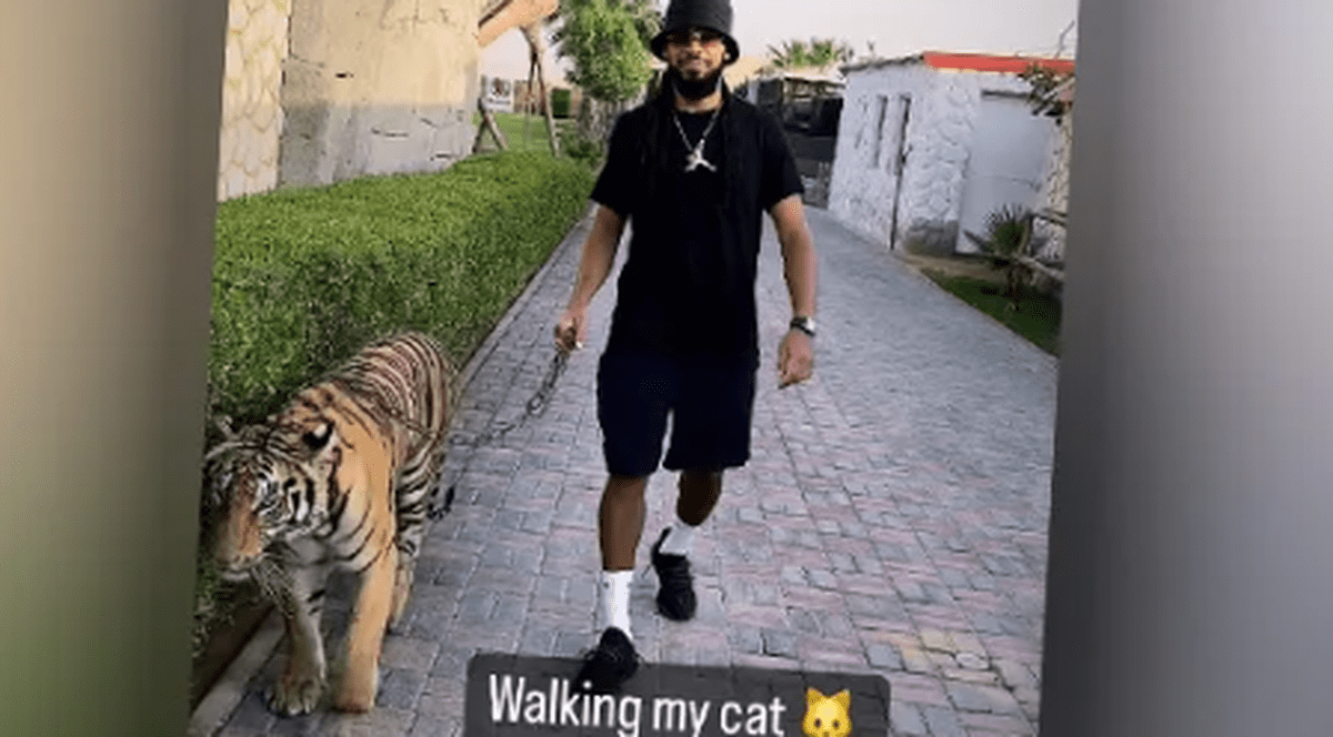 Fotbalistul belgian Jason Denayer, campion cu Al-Ahli, a plimbat un tigru prin Dubai. Ce amendă riscă