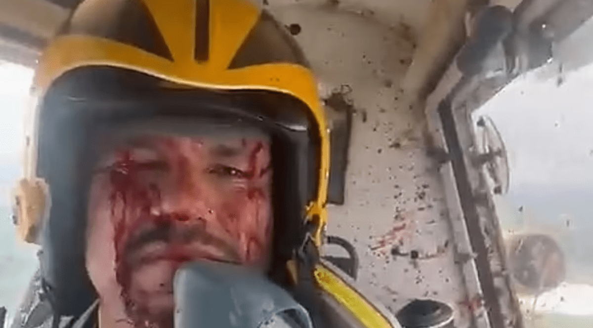 Un pilot a reușit să aterizeze în siguranță, după ce un condor andin i-a spart geamul cabinei și l-a umplut de sânge, în Ecuador