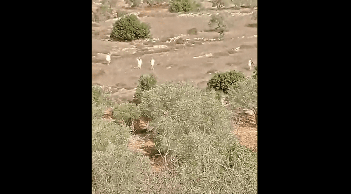 Un palestinian, împușcat mortal de către un colonist, cu o puşcă de asalt, în timp ce culegea măsline în Cisiordania, spun autoritățile palestiniene | VIDEO