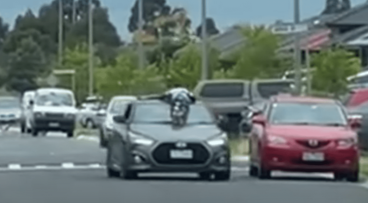 O șoferiță a plimbat copiii pe capota mașinii, în Melbourne: „Mă distram puțin cu ei” | VIDEO