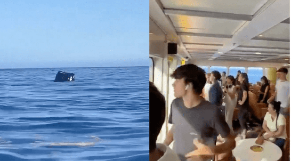 Matias și-a pierdut casa în erupția vulcanului din La Palma și a rămas fără mașină, care a căzut de pe feribot, în fața ochilor lui: „Una sub lavă, alta sub apă”