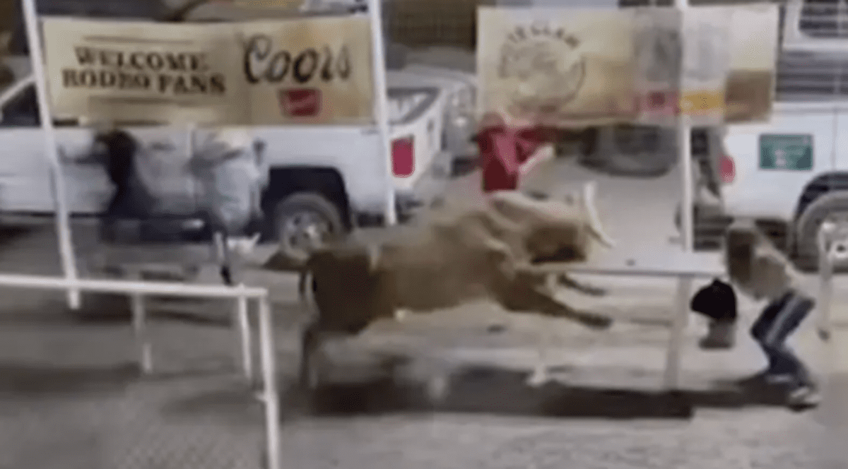 Taurul „Party Bus” a evadat din arena de rodeo și a luat în coarne 3 oameni, inclusiv o femeie îmbrăcată în roșu, în SUA | VIDEO