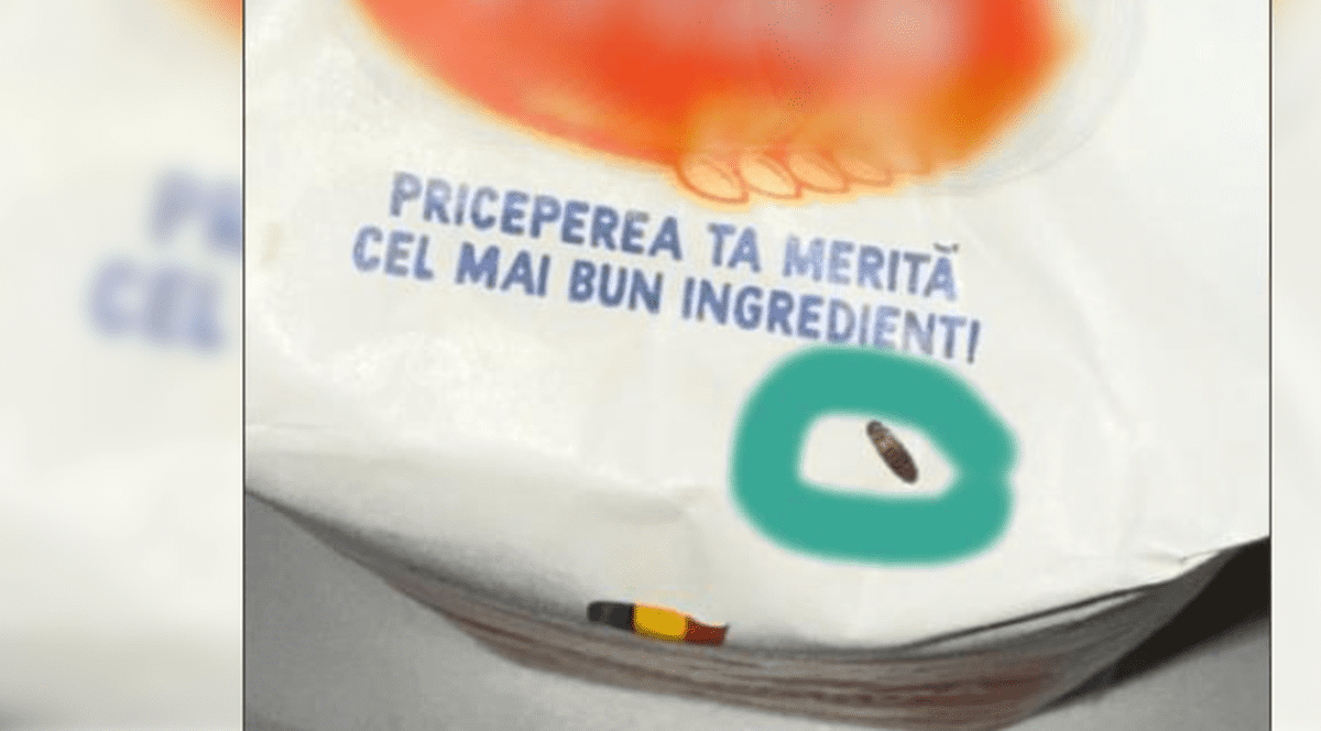 Ce a găsit un clujean în punga de făină cumpărată din supermarket: „Acest trist ingredient și-a găsit sfârșitul”