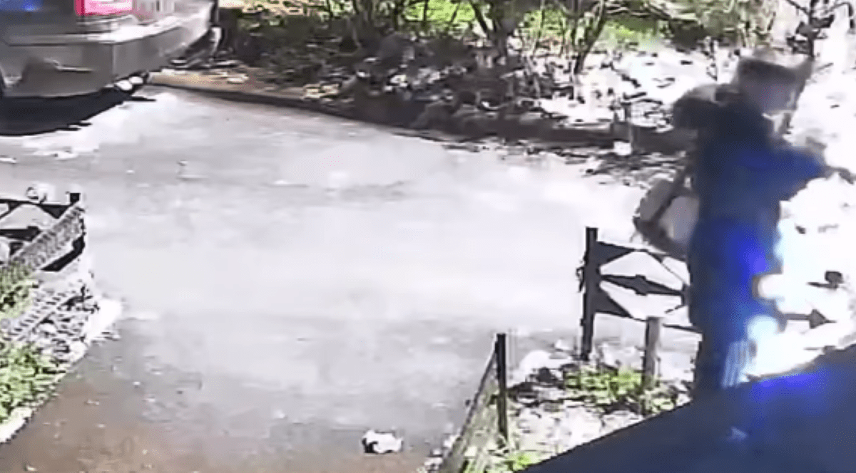 Un tânăr a fost surprins în timp ce fura instalațiile luminoase din mai mulți brazi, în județul Cluj.