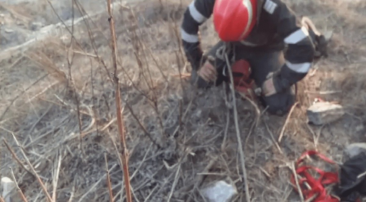 Fata și băiatul de 15 ani dați dispăruți la Tulcea pe 4 ianuarie au fost găsiți morți pe un câmp