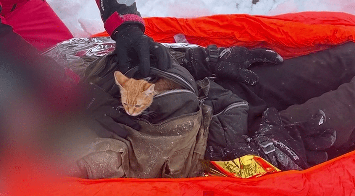 Ucrainean salvat din Munții Maramureșului