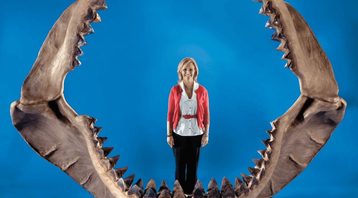 Megalodonii erau mai mari decât se credea, aveau pui uriași și un aspect unic