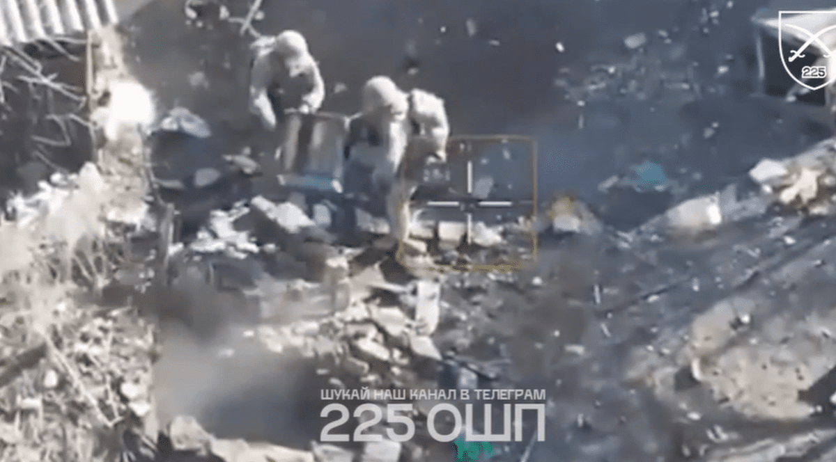 Soldații ucraineni au folosit albine adevărate „de război” și au aruncat doi stupi într-un subsol plin cu soldați ruși