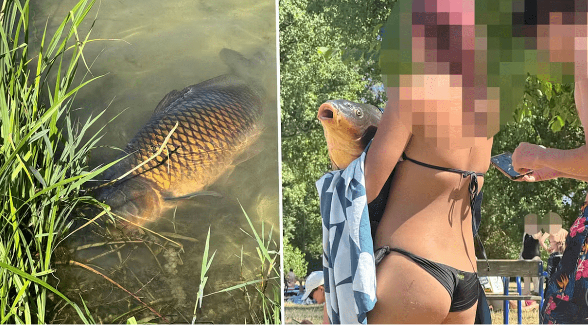 Un un crap care sta la marginea apei a fost preluat de o fată în costum de baie și ținut într-un prosop