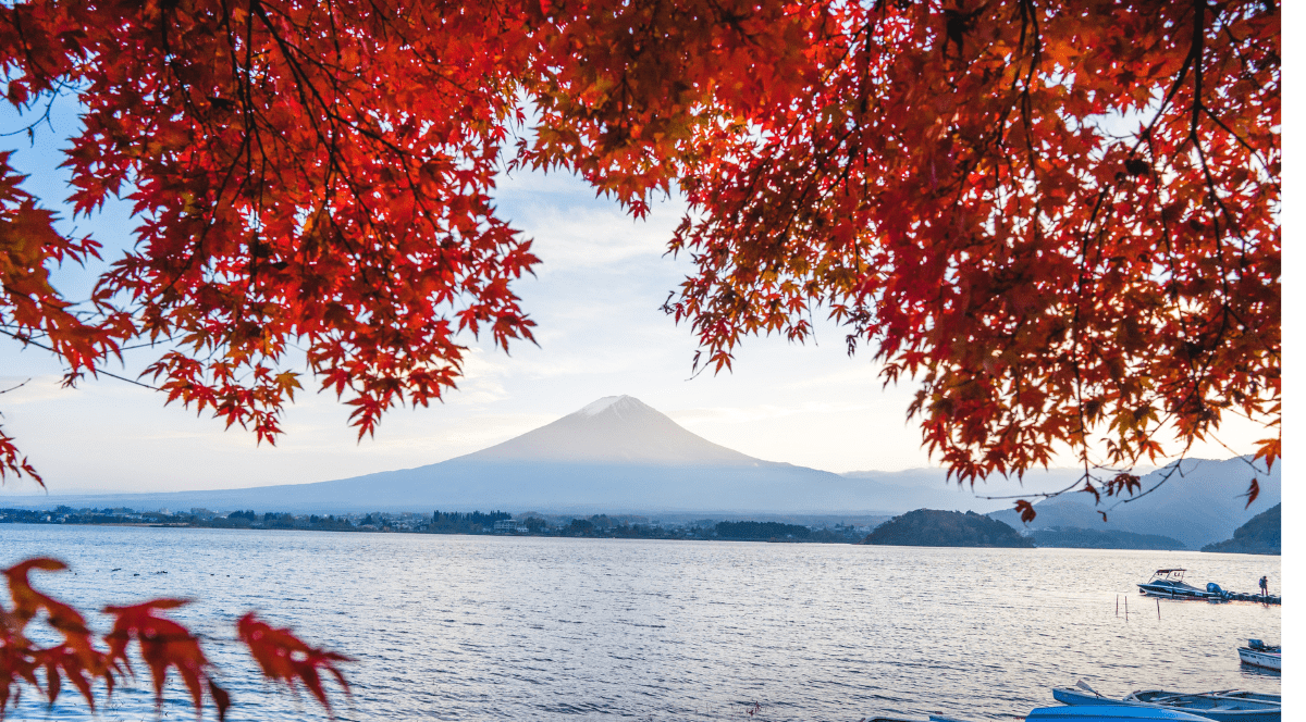 Japonia în culorile toamnei – o experiență de neuitat între tradiție și modernitate