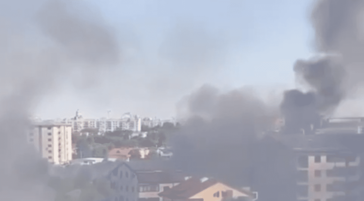Un bărbat a incendiat 25 de hectare de teren cu ambrozie, lângă București: „Am căzut în depresie din cauza alergiilor”