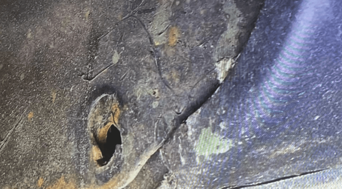 Mașina avocatului norvegian cu găuri de rugină. Foto Piața Auto