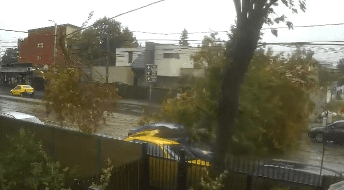 Momentul în care un copac este doborât de vânt pe o mașină aflată în mers, în București
