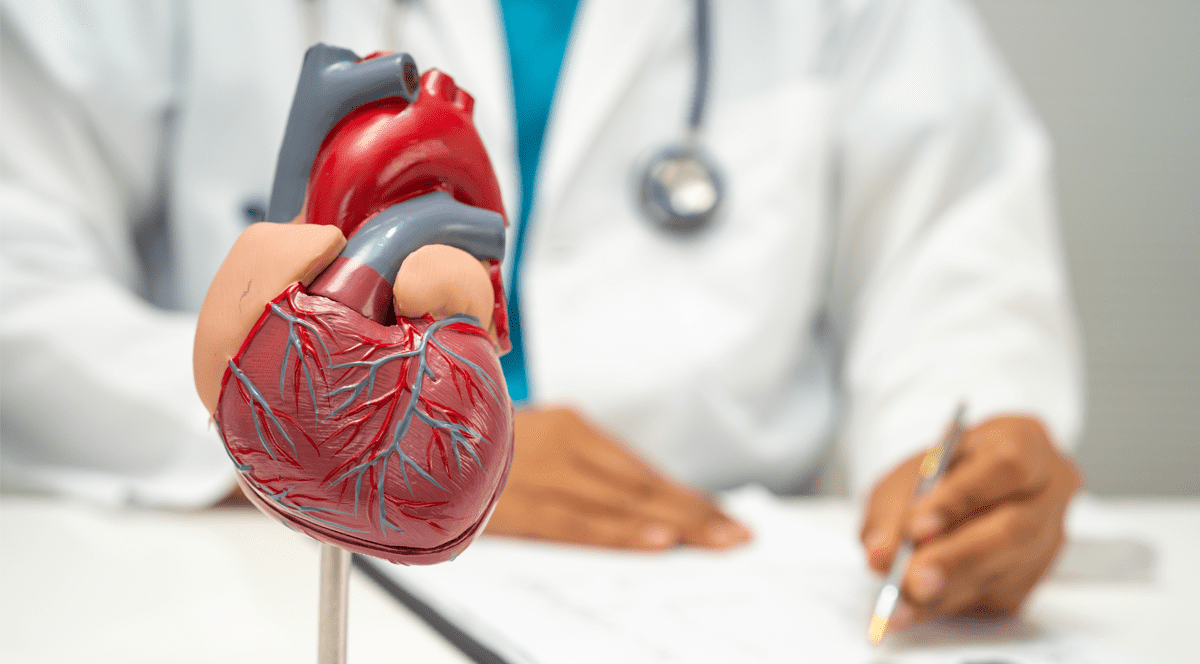 Un mulaj sub formă de inimă, in background un medic in halat alb cu stetoscop la gat scrie pe foi. Cardiologii explică legătura dintre obiceiuri, tensiune arterială și tratament. Foto Envato