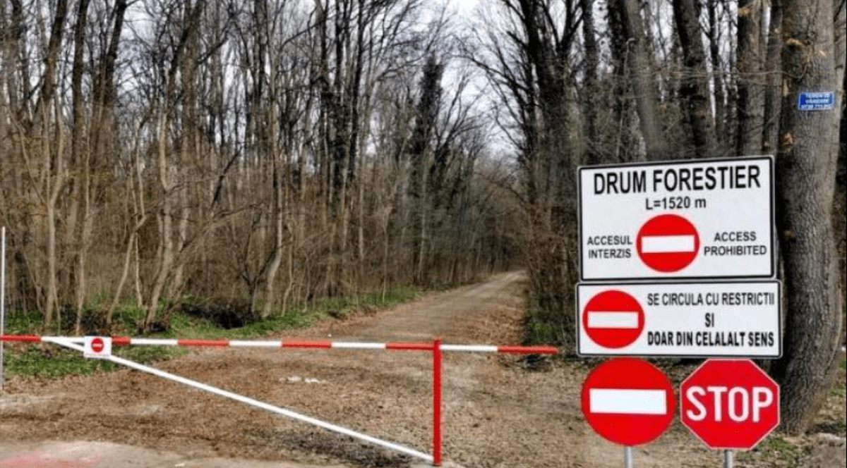 O barieră și un semn interzis în fața unui drum forestier din Pădurea Băneasa, februarie 2026