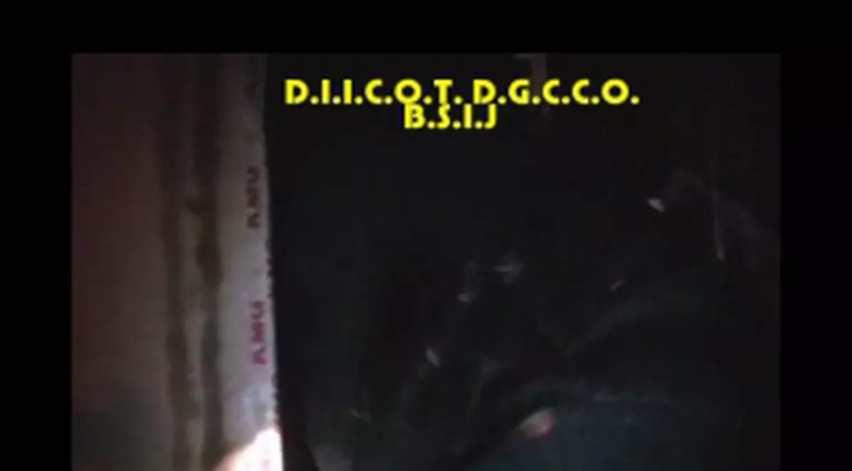 EXCLUSIV. Argeșul nu este capitala ororilor! Topul județelor în care românii sunt traficați și exploatați ca în Evul Mediu