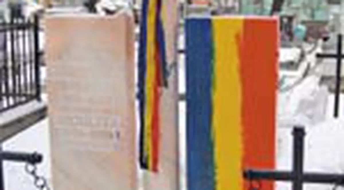 Funar a primit cadou un cavou tricolor