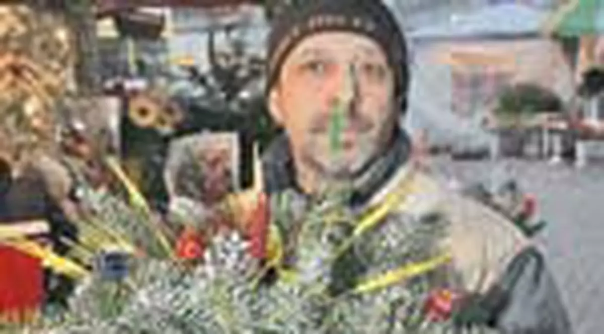 300.000 lei, cel mai ieftin brad de Craciun