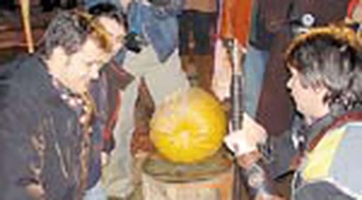 Carcotasii au devenit scutieri