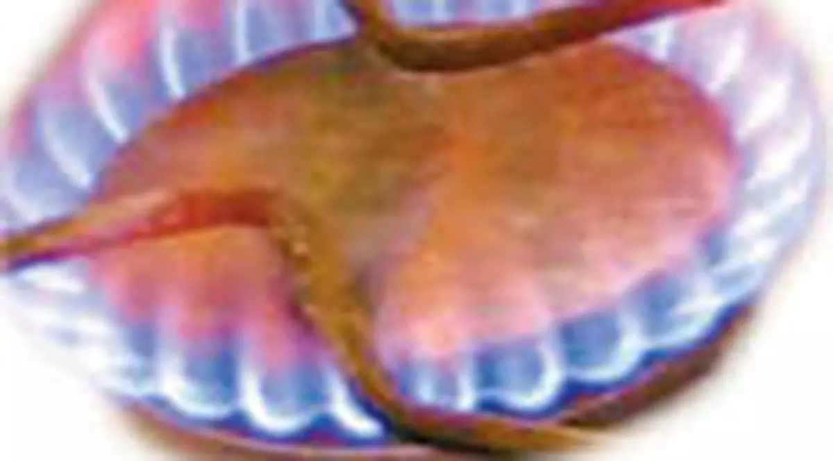 Gazele vor arunca in aer bugetele romanilor 