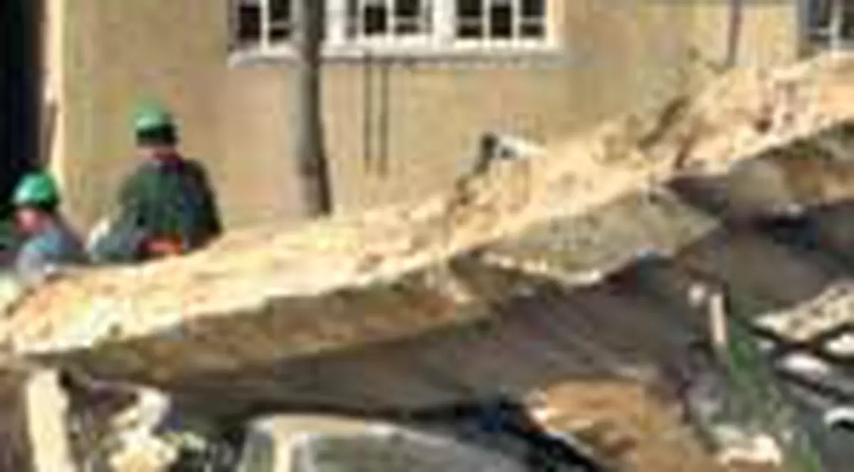 Gazul s-a infiltrat pe sub pamant