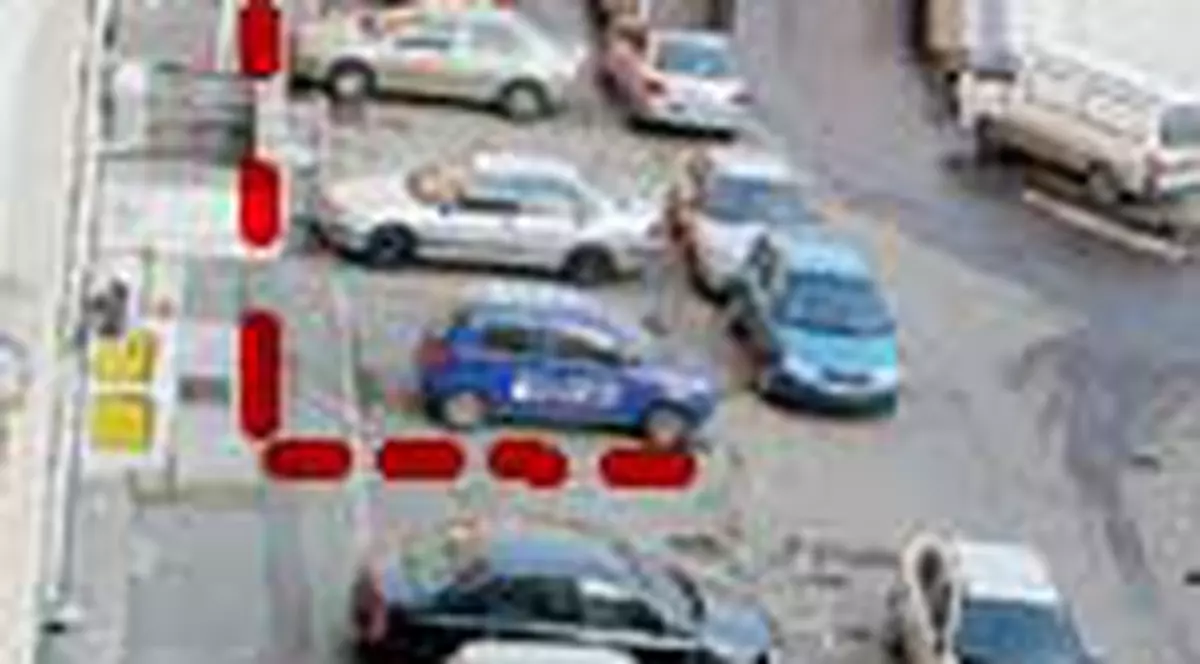 Maidanezul l-a ucis pe japonez!