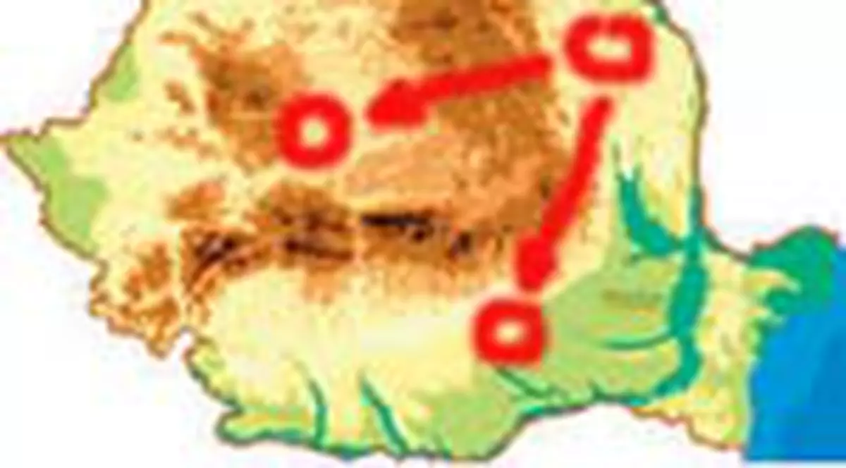 Patru vieti salvate de o femeie in coma