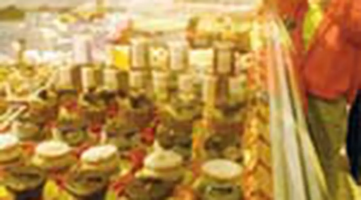 Avantajele si riscurile 'E'-urilor