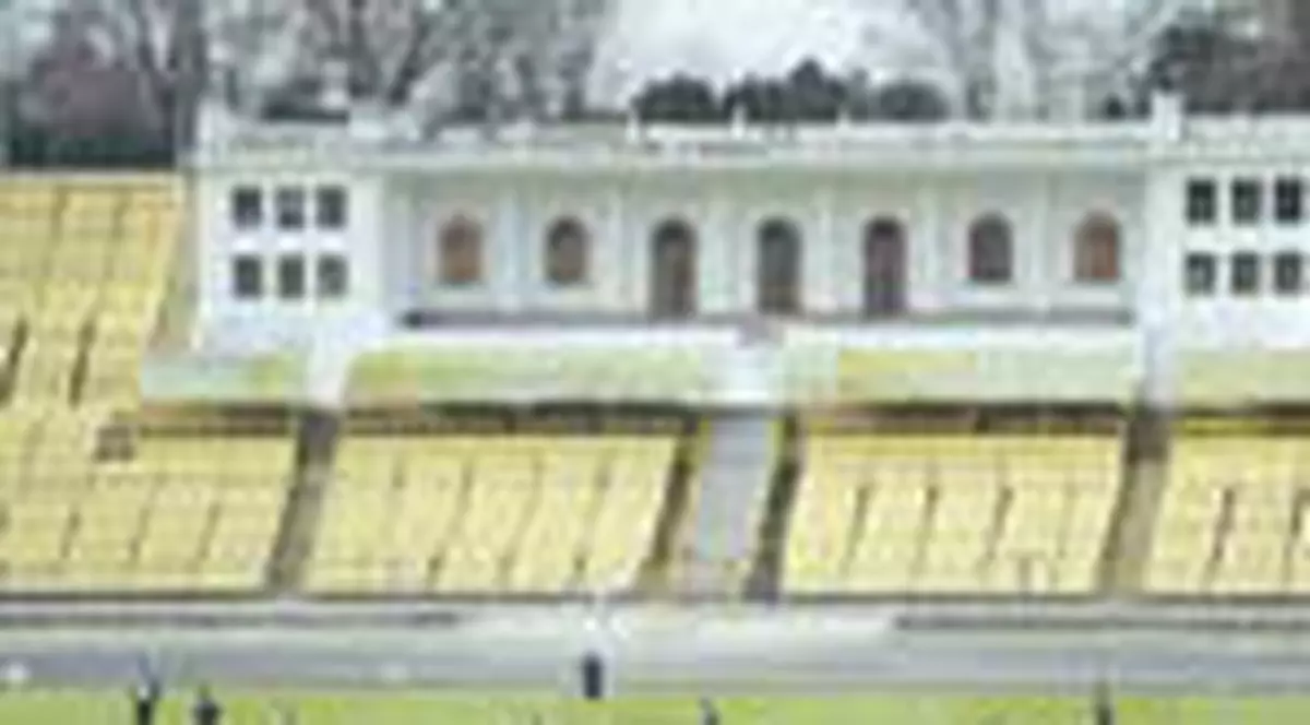 Stelistii, incantati de gazon