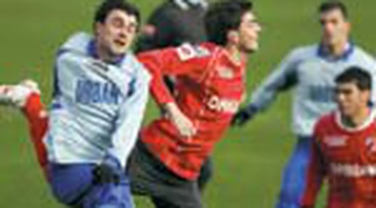 'Cainii', tinuti in sah la Otopeni