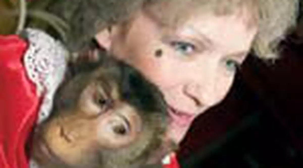 Maimute vedete pe trei continente