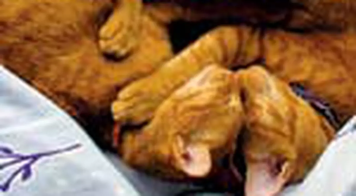 Valentine's Day pe mapamond