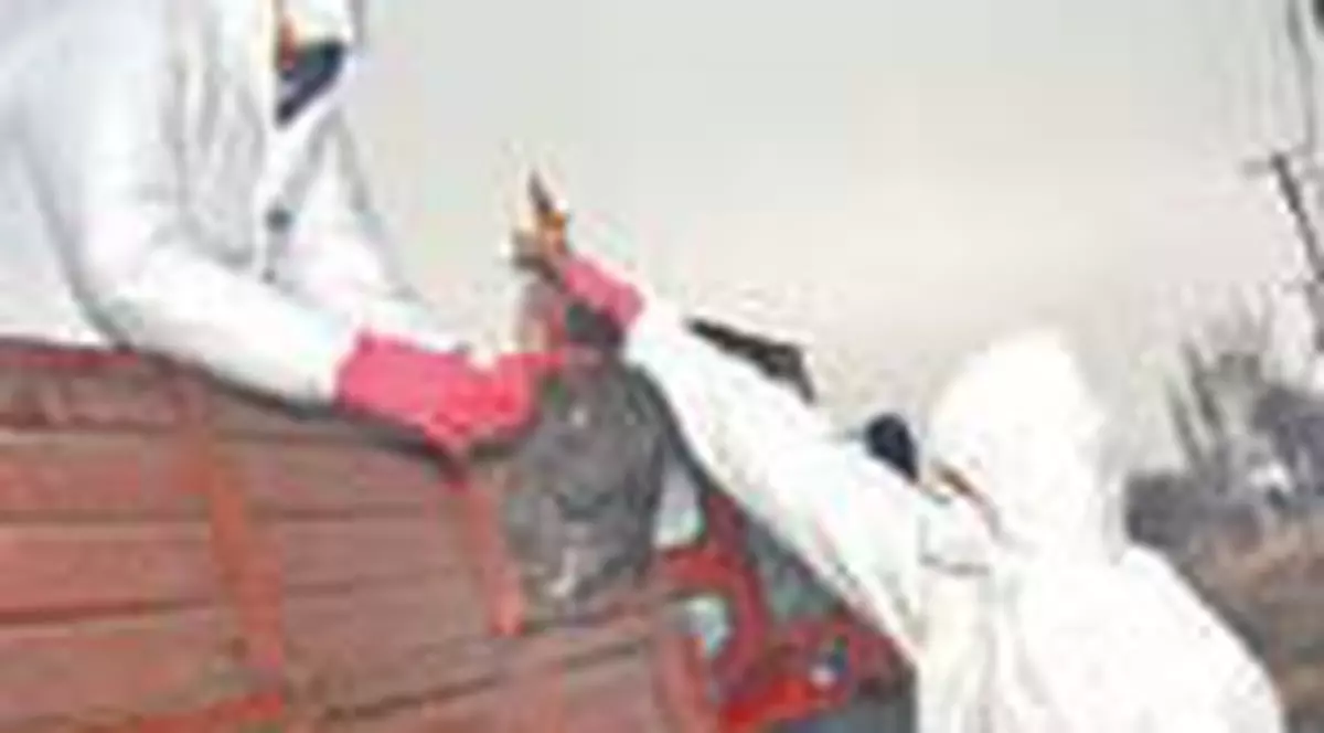 Gripa aviara a ajuns in Dolj