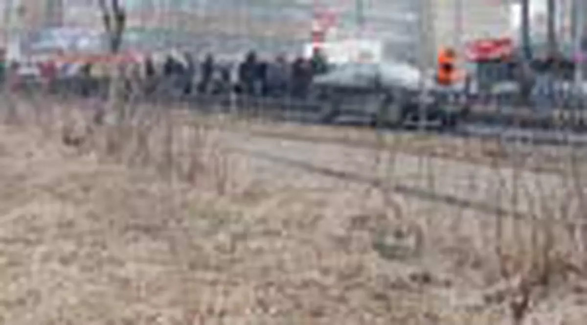 Gaina moarta langa Palatul Cotroceni