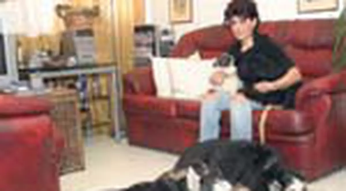 'Mama' pentru 5 caini parasiti