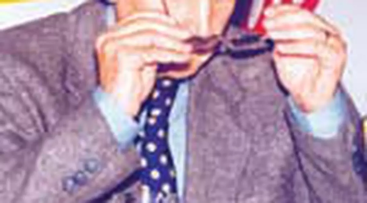 'N-am patat imaginea lui Dinamo'