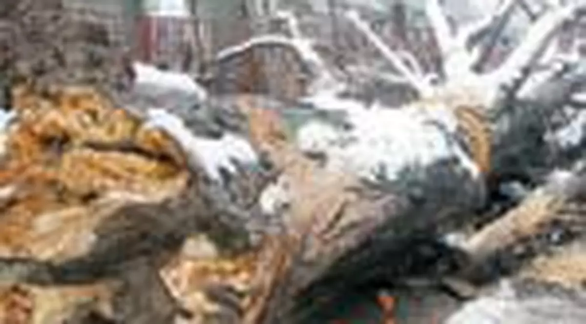 Au donat alocatiile pentru colegul Edi