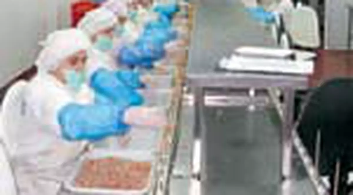 Etichete pentru pui 'securizati'