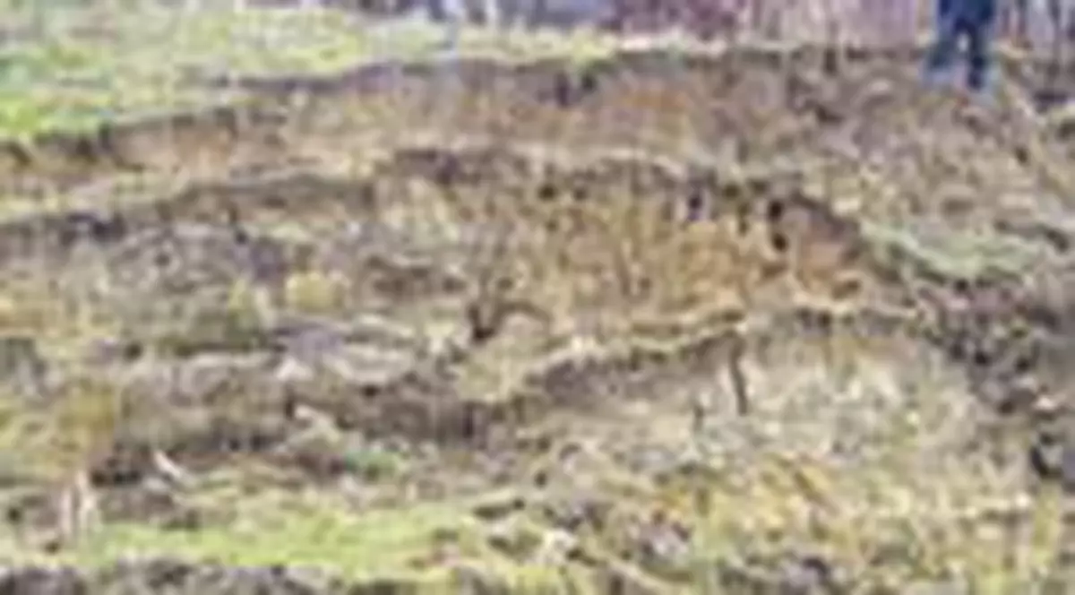 Izolati de ape si de pamant