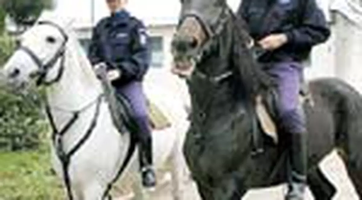 Fanii Rapidului si Stelei se vor vedea de la distanta