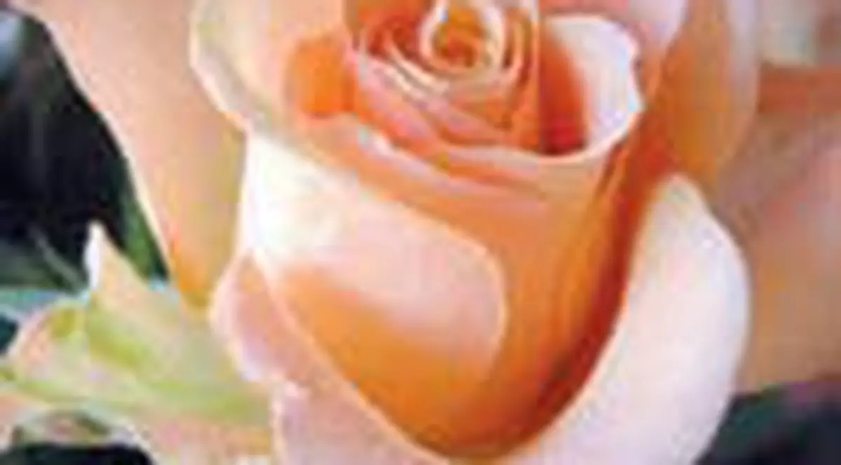 Zodiacul florilor vorbeste despre tine