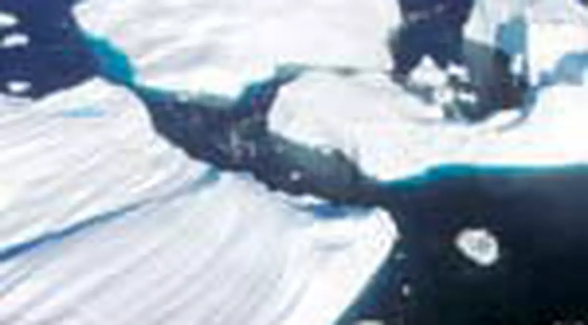 Topirea ghetarilor va ineca planeta