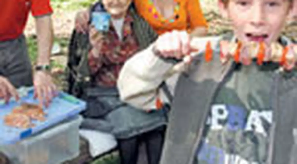 Dupa Paste, direct la gratar in padure