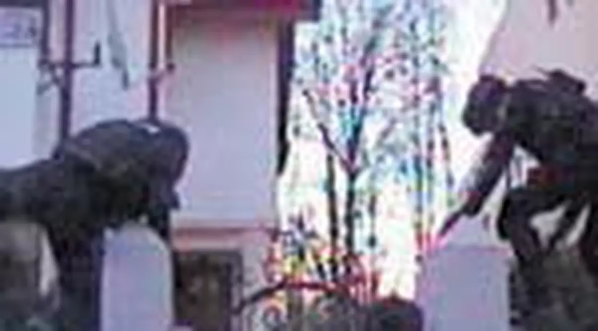 Mascatii au iesit la 'vanatoare' de chinezi 