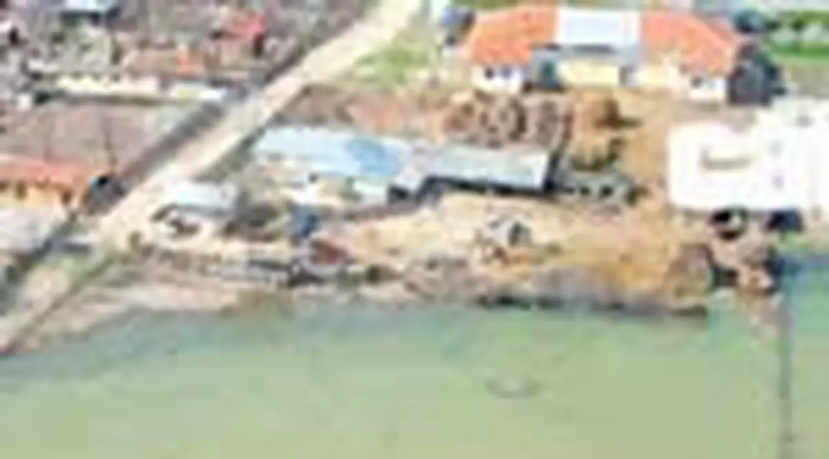 Evacuati cu catel, cu purcel