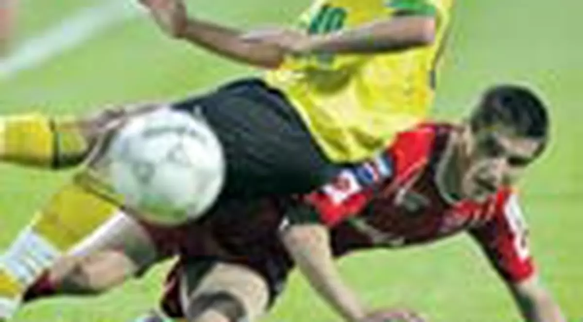 Decaderea 'cainilor'!